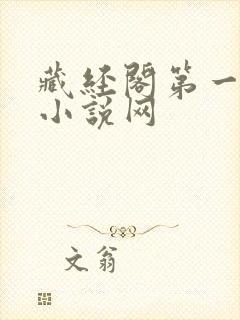 藏经阁第一版主小说网
