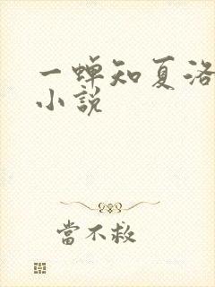 一蝉知夏洛青舟小说
