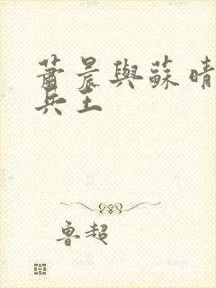 萧晨与苏晴全能兵王