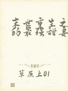 末世重生之军长的最强甜妻