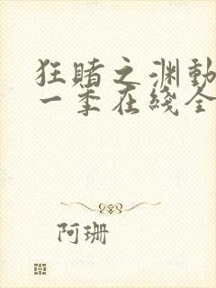 狂赌之渊动漫第一季在线全集免费观看