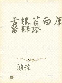 舌根苔白厚腻中医辨证