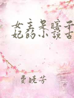 女主是瞎子是王妃的小说古言