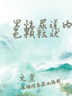 男性尿道内有白色颗粒状