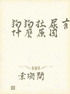 狗狗拉尿有血是什么原因