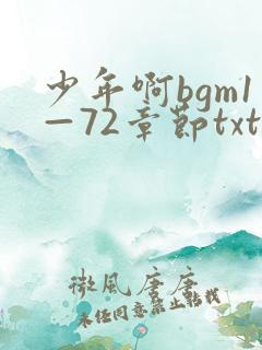 少年啊bgm1—72章节txt