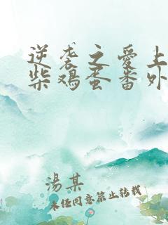 逆袭之爱上情敌柴鸡蛋番外