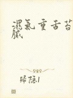 湿气重舌苔白厚腻