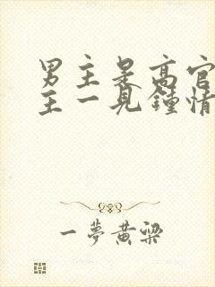 男主是高官对女主一见钟情