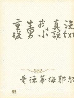 重生我真没想当暖男小说txt