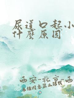 尿道口起小水泡什么原因