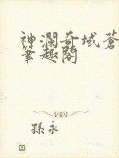 神澜奇域苍穹珠笔趣阁