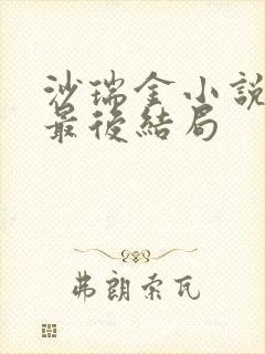 沙瑞金小说原著最后结局