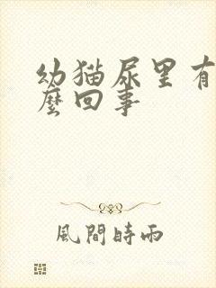 幼猫尿里有血怎么回事