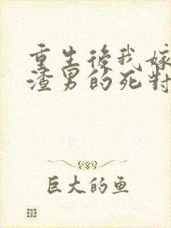 重生后我嫁给了渣男的死对头 短剧