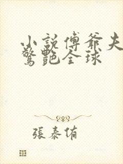 小说傅爷夫人又惊艳全球