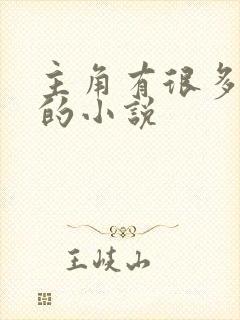 主角有很多老婆的小说