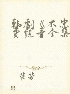 韩剧《不忠》免费观看全集