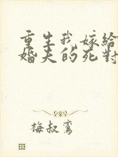 重生我嫁给了未婚夫的死对头