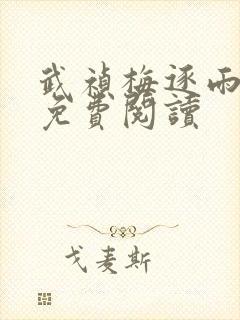 武祯梅逐雨小说免费阅读