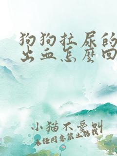 狗狗拉尿的地方出血怎么回事