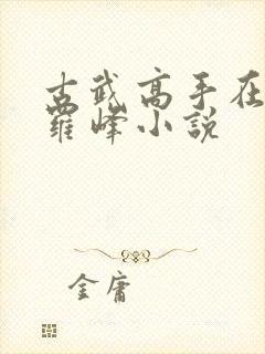 古武高手在都市罗峰小说