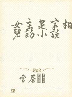 女主是宰相的女儿的小说