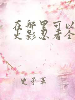 在哪里可以看到火影忍者全集