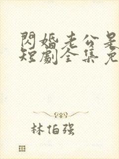 闪婚老公是总裁短剧全集免费观看