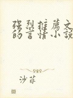 强烈推荐文笔好的言情小说