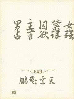 男主囚禁女主的占有欲很强