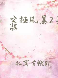 究极风暴2手机版