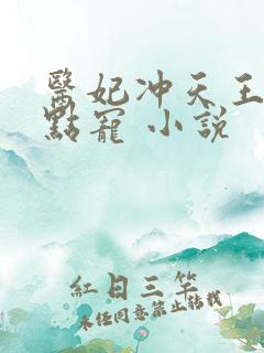 医妃冲天王爷轻点宠 小说