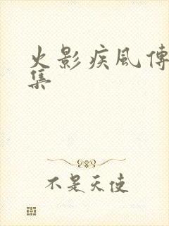 火影疾风传多少集