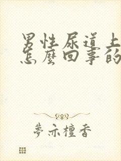 男性尿道上水泡怎么回事的