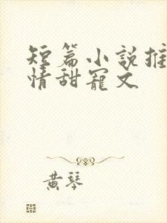 短篇小说推荐言情甜宠文