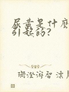 尿黄是什么原因引起的?