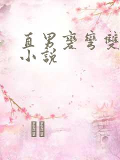 直男变弯双男主小说