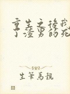 重生之后我嫁给了渣男的死对头短剧