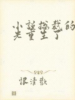 小说总裁的白月光重生了