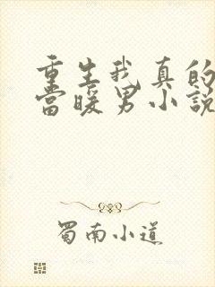 重生我真的没想当暖男小说