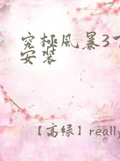 究极风暴3下载安装