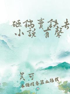 砸锅卖铁去上学 小说 有声