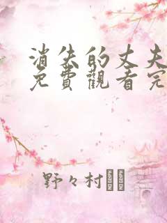 消失的丈夫短剧免费观看完整版高清