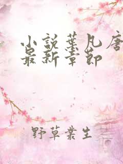 小说叶凡唐若雪最新章节