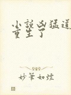 小说凶猛道侣也重生了