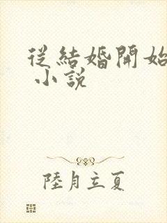 从结婚开始恋爱 小说