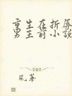 重生在折辱清冷男主前小说