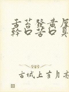 舌苔发黄厚腻口干口苦口臭