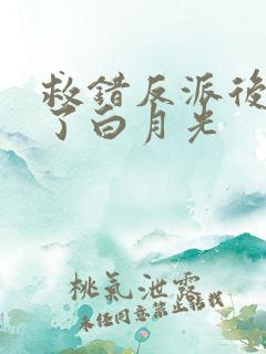 救错反派后我成了白月光